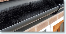Hedgehog Gutter Guard
