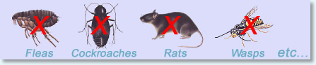 Pests