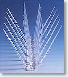 Anti-Roosting Spikes